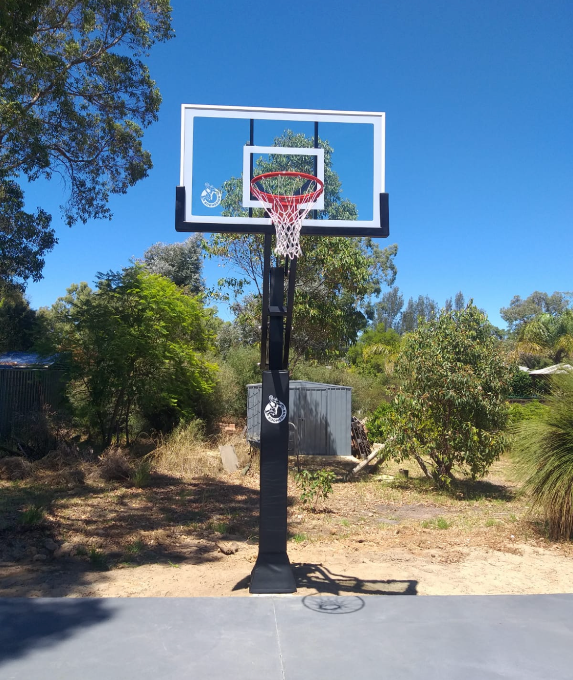 Senator 60 Basketball Hoop